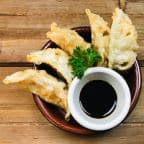 Best Gyoza in Evanston, IL